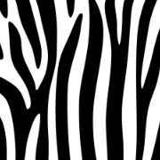 Baumzebra